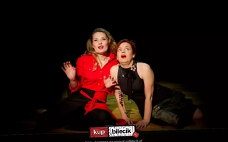 Teatr: Vendetta ala Kobietta - Komedia dla dorosłych