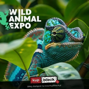 Wild Animal Expo - Festiwal Zwierząt Egzotycznych w Słupsku!