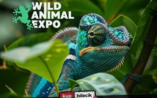 Wild Animal Expo - Festiwal Zwierząt Egzotycznych w Słupsku!