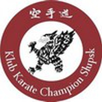 Karate Champion