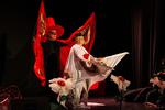 Wiejskie teatrzyki po przeglądzie. Nagrody za występy w Kobylnicy [zdjęcia]