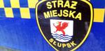Czym zajmuje się teraz Straż Miejska w Słupsku? "Reagujemy tam, gdzie jest potrzeba"