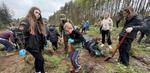 Więcej lasu w lesie. Młodzież i wolontariusze zasadzili Las Posługi przy ul. Sucharskiego w Słupsku