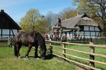 Plebiscyt Cuda Polski - zagłosuj na skansen w Klukach, bo to nasza atrakcja