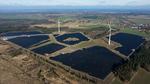 W Słupsku powstała olbrzymia farma fotowoltaiczna. Elektrownia już działa [zdjęcia]