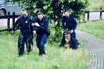 Szkolenie psów służbowych i ich przewodników zorganizowane w KMP Słupsk