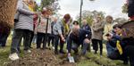 Park Klasztorne Stawy pod opieką słupskiego Uniwersytetu III Wieku. Nowe nasadzenia już są