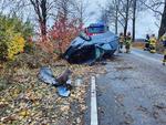 21-latek wyprzedzał, stracił panowanie i uderzył w drzewo! Poważny wypadek pod Słupskiem