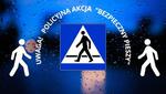 SŁUPSCY POLICJANCI PROWADZĄ DZIAŁANIA PN. "BEZPIECZNY PIESZY"