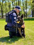 Zawód z misją. Kim jest przewodnik psa w Policji? #Zostań pomorskim policjantem