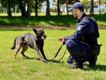 Zawód z misją. Kim jest przewodnik psa w Policji? #Zostań pomorskim policjantem