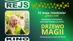 "Drzewo magii" - bezpłatne warsztaty familijne po seansie