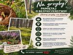 Wybierasz się na grzyby? Zadbaj o swoje bezpieczeństwo.